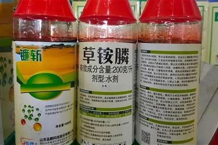 芸苔素解除草剂药害效果如何？芸苔素能解哪些药害？