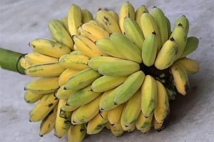 香蕉南天黄品种种植特性