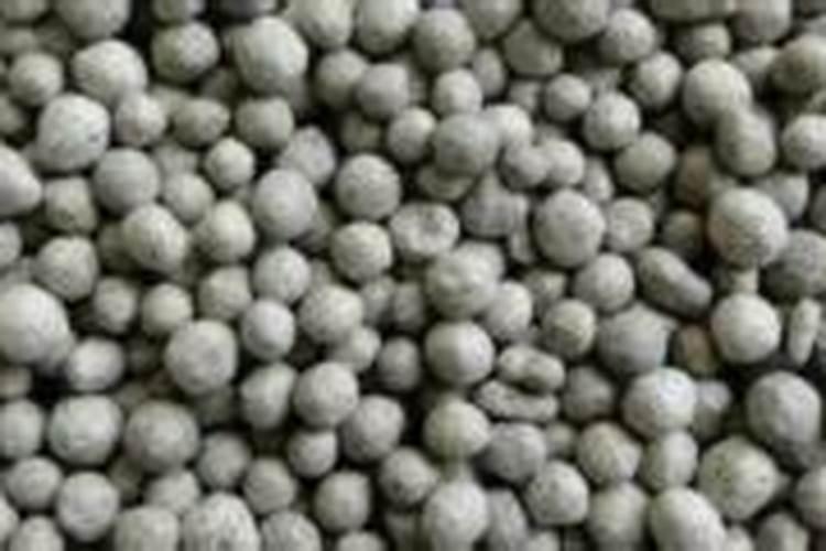 种植速生桉施什么肥料最好？