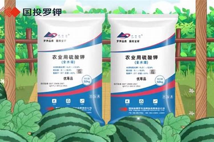 养活刺梅花的养殖方法(刺梅花用什么肥养护能开花)