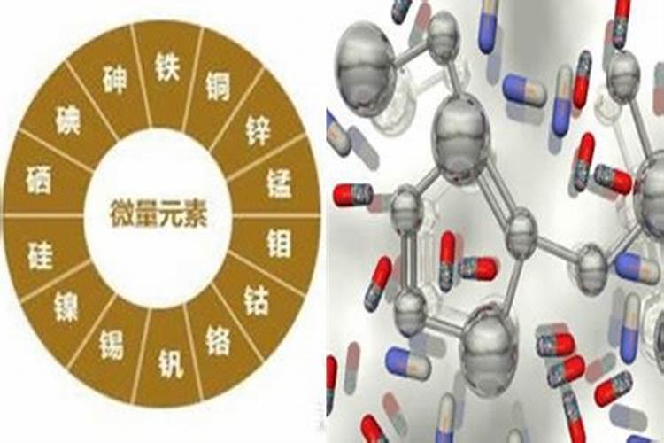 花肥有哪些 花肥的种类 花肥制作方法