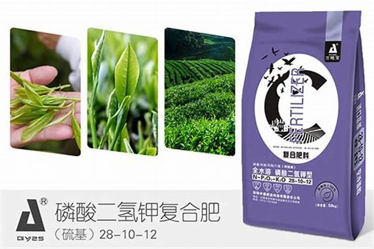 怎样可以提升茶叶的质量？