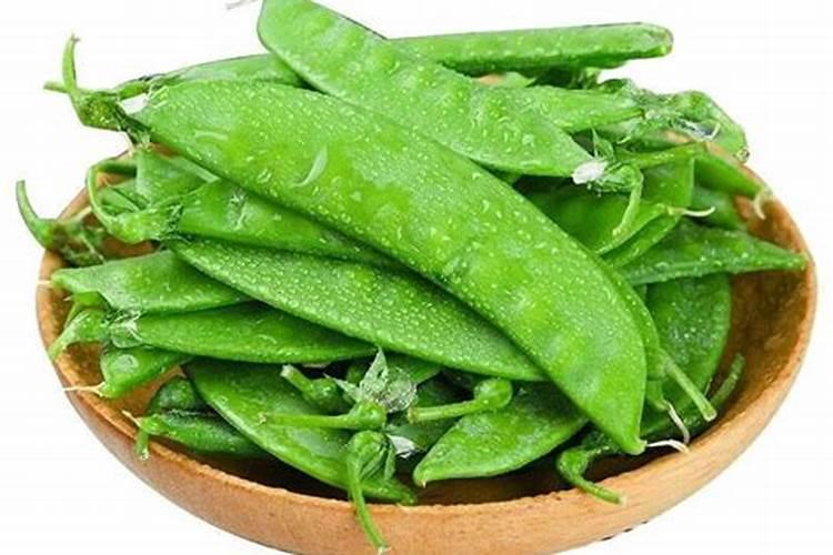 宝莲灯花叶子蔫吧了怎么办