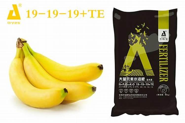 香蕉树用什么肥料最好？