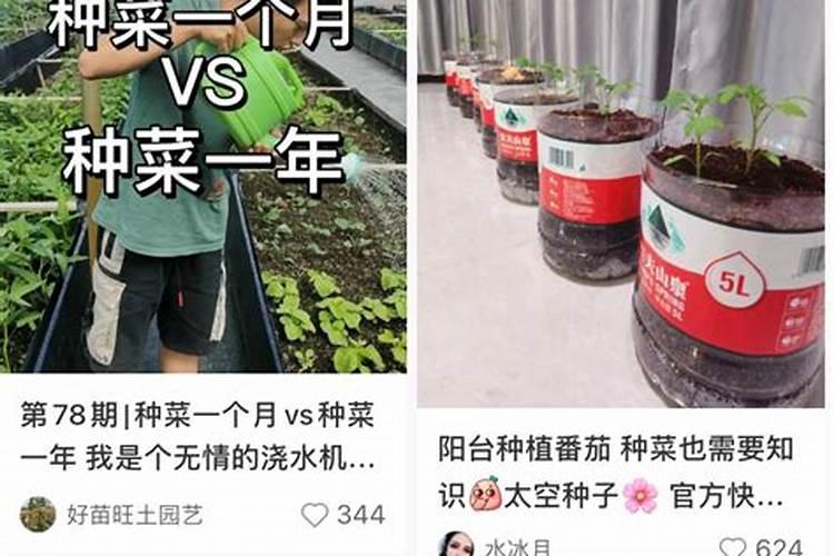 种菜多久施一次豆饼肥 “多久施用一次豆饼肥？”