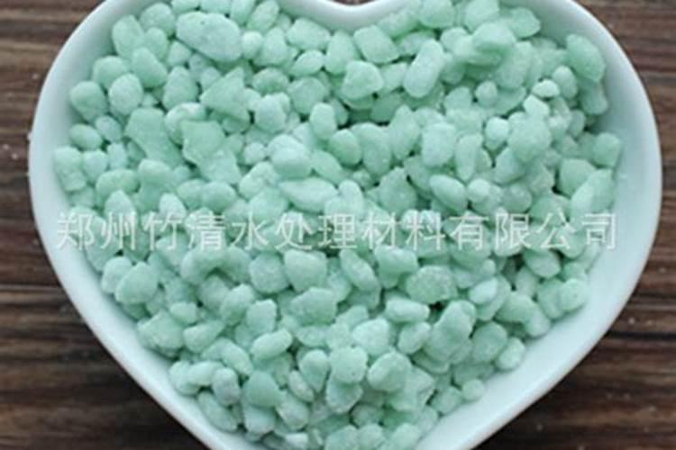 下雨天墨兰可以淋雨吗