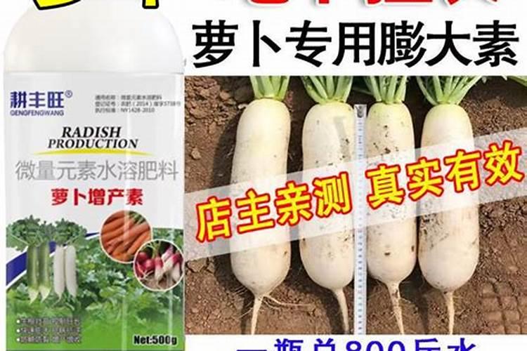 种植萝卜常用增产叶面肥有哪些？ 根茎膨大期使用膨大剂促增收