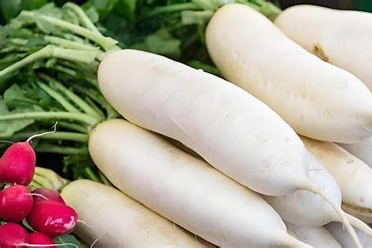 萝卜怎么施肥高产