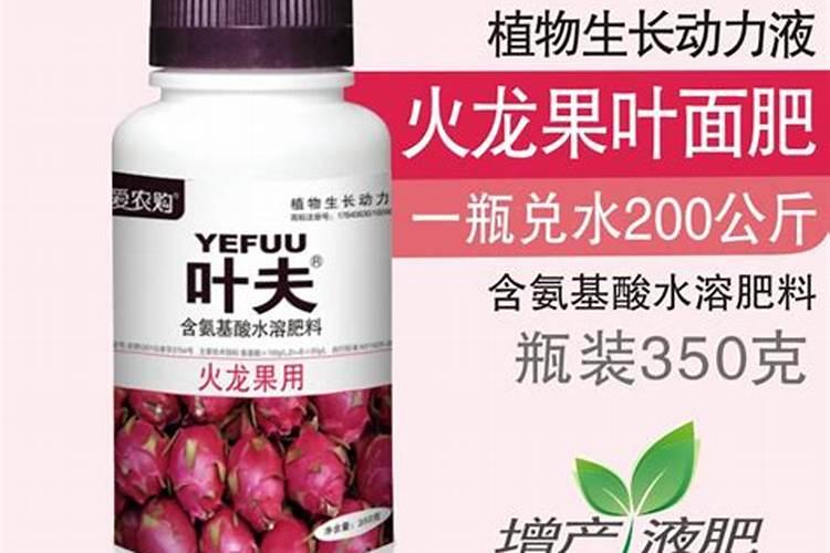 火龙果如何施肥