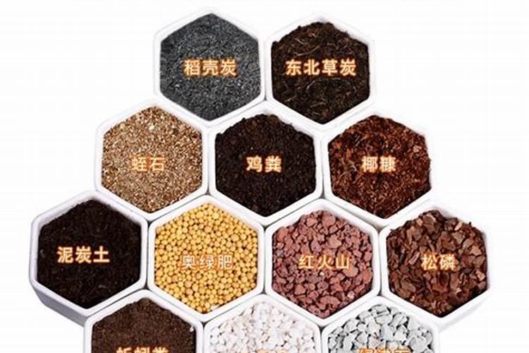 绿萝用什么肥料长得快,含氮的有机肥最利于生长