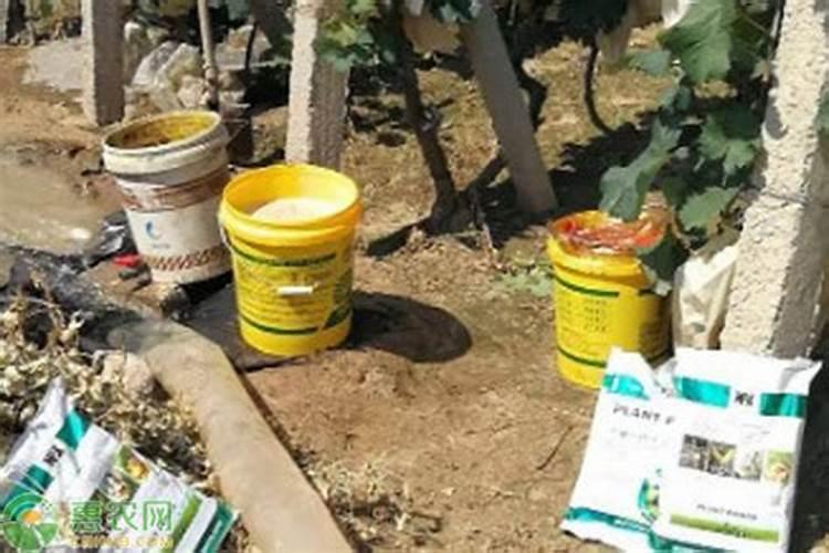 微量元素肥料有几种施用方法？