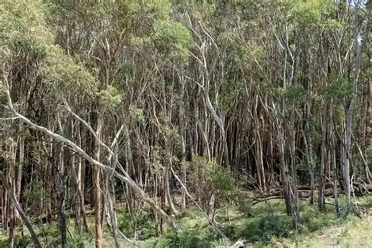 矿源腐植酸钾能和杀菌剂混用吗？