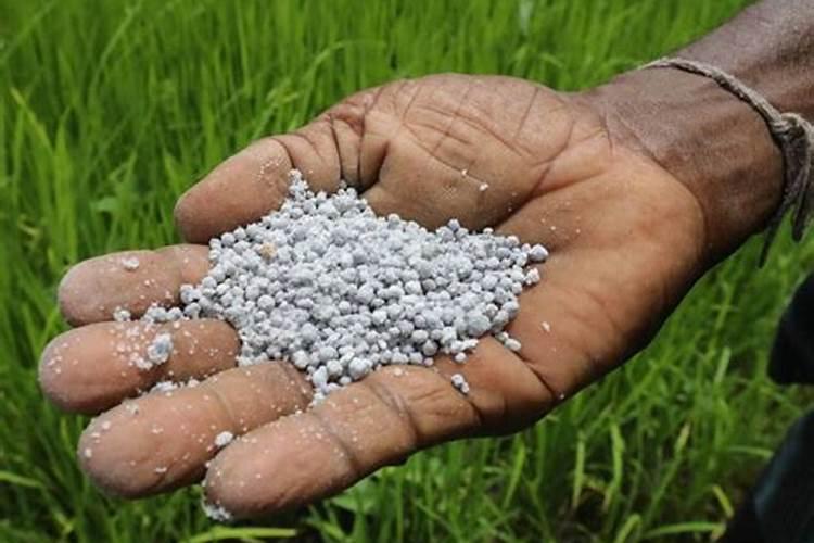 山东绿亨生物工程有限公司产品介绍