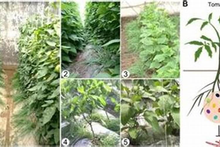 论述氮在土壤中损失的主要途径,如何提高氮肥利用率？