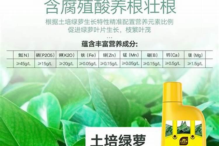水养绿萝用什么肥料
