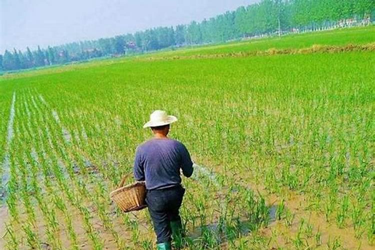 拉多美和撒可富那个肥料好