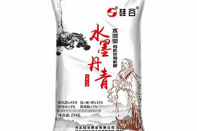 促进钙吸收的药