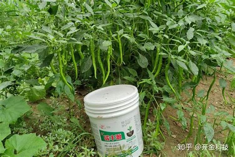 水溶肥知名品牌有哪些？
