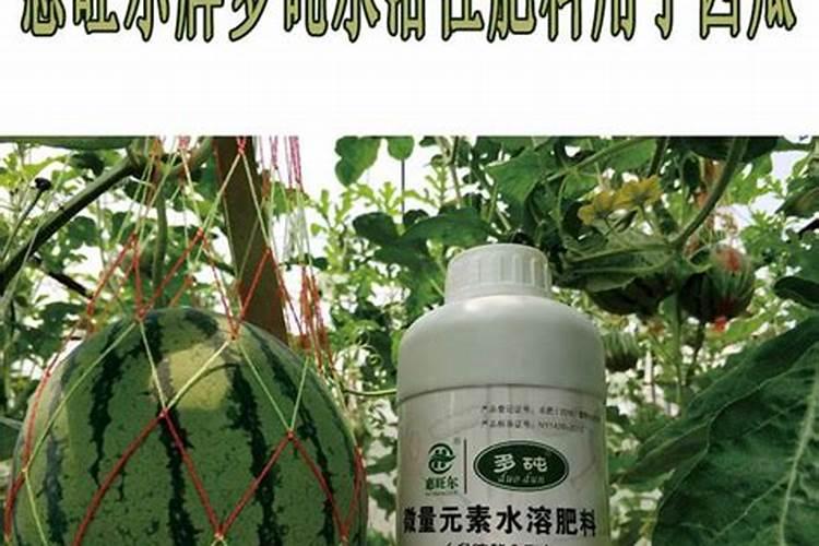 西瓜怎么施肥
