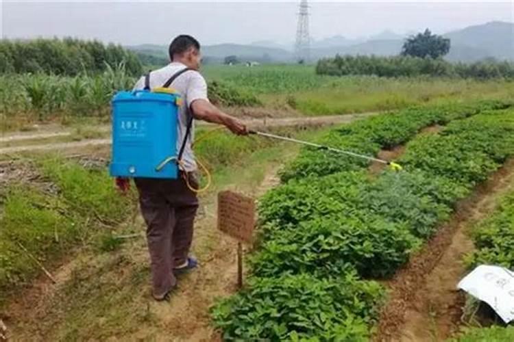 农产品现货公司会不会点杀客户