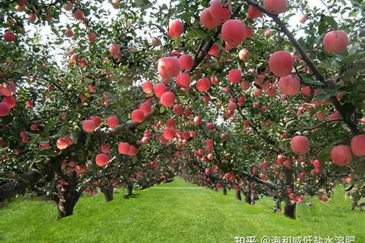 各位有知人士:请问中国区内较好的水泵生产厂家有哪些？