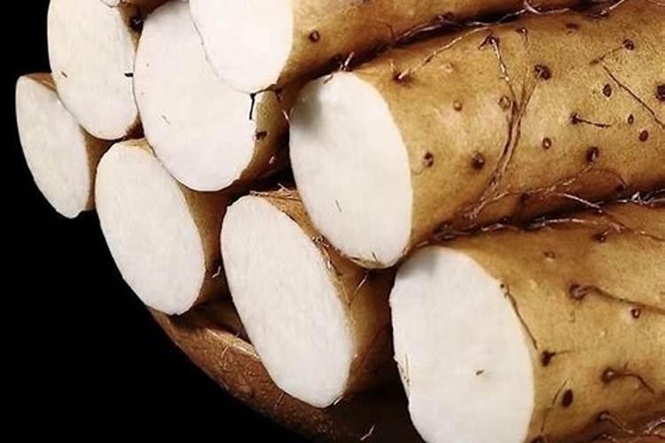 山药内蒙古能种值吗