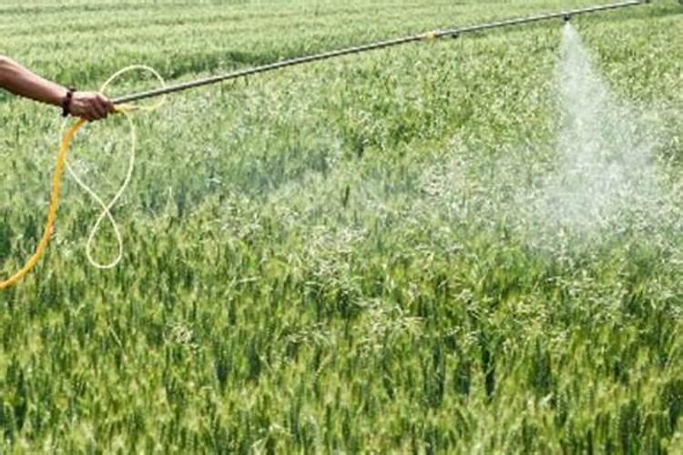 颗粒水溶肥可以改善酸碱土壤,是真的吗？