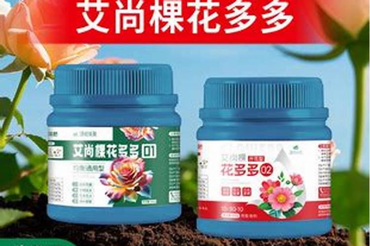 齐朵朵,叶连根属于什么肥料