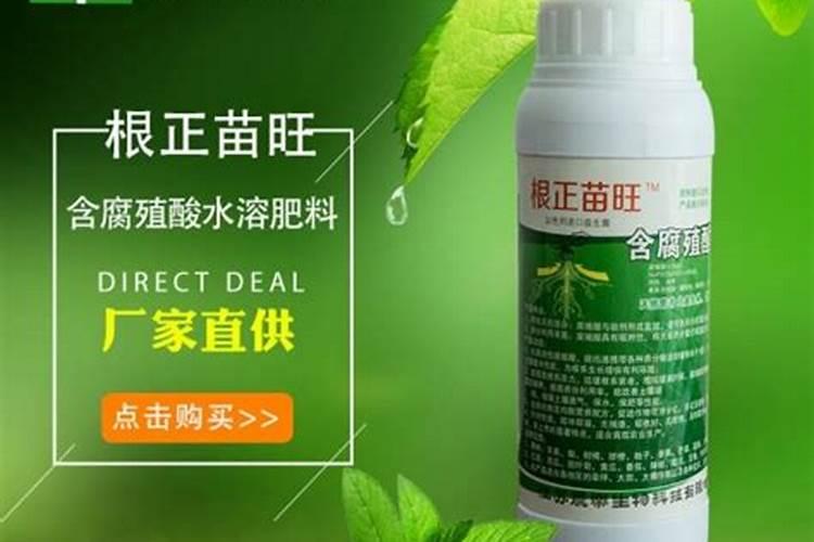 复合肥兑水几天浇一次、复合肥施肥后立即浇水吗