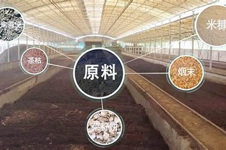 黄骅市中天肥源有限责任公司怎么样？