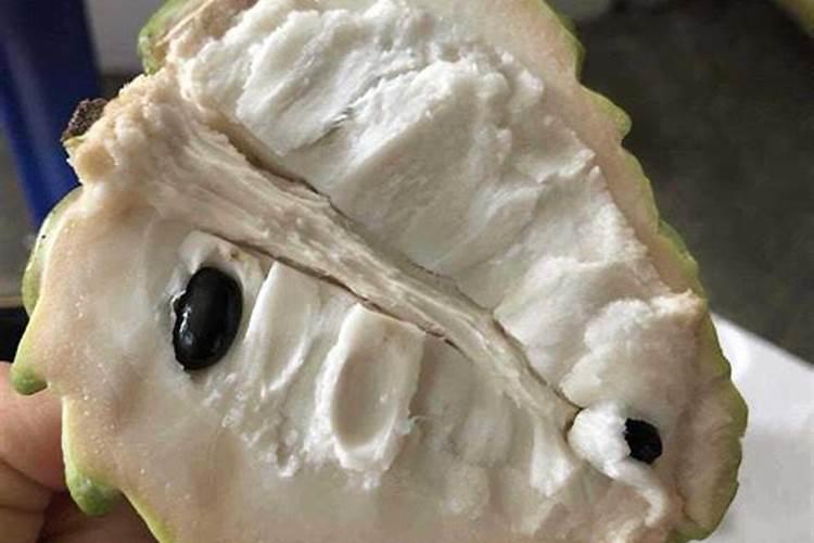 释迦果裂开了还能吃吗 释迦果裂开了还没熟什么原因