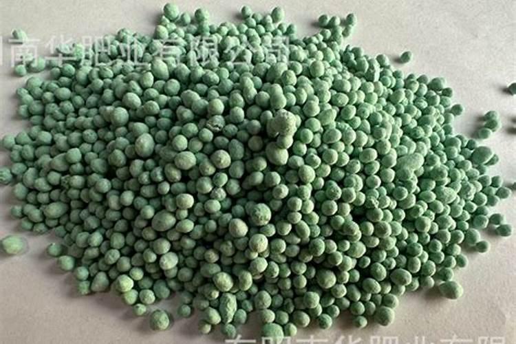 姜使用绿宝珠肥料后黄叶矮小怎么办