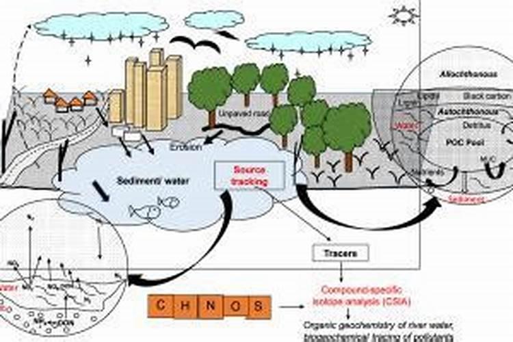 化肥种类名称大全