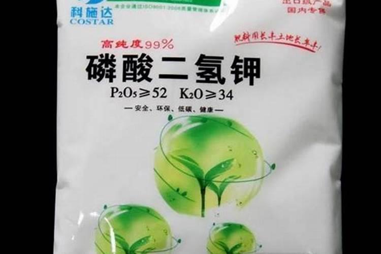 红叶石楠这样管理,它的叶子会更红!