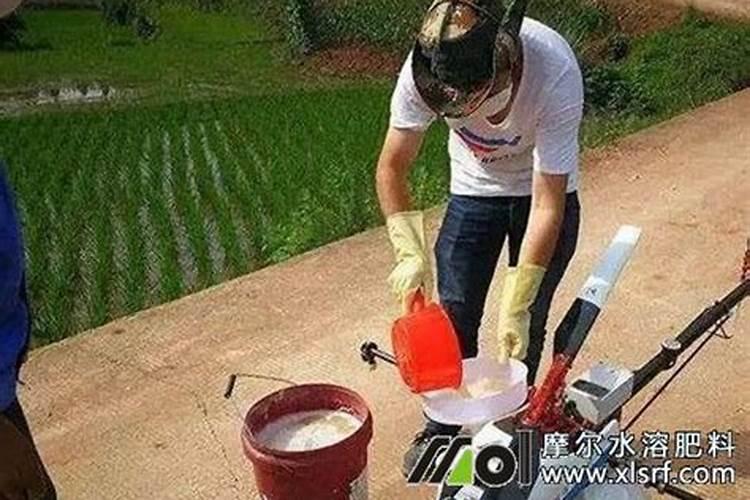 水溶肥叶面喷施的浓度