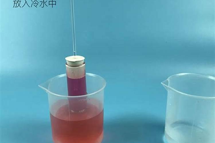 三角梅如何养护叶片花朵很鲜艳