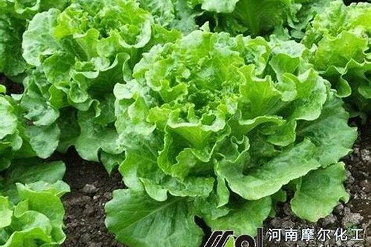 秸秆焚烧对环境有哪些危害