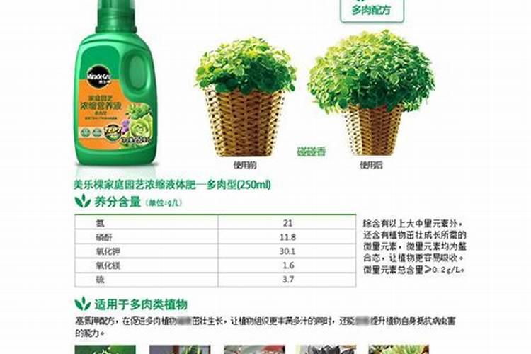 十月份种树能活吗