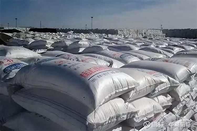 辣椒树招来许多虫子的原因