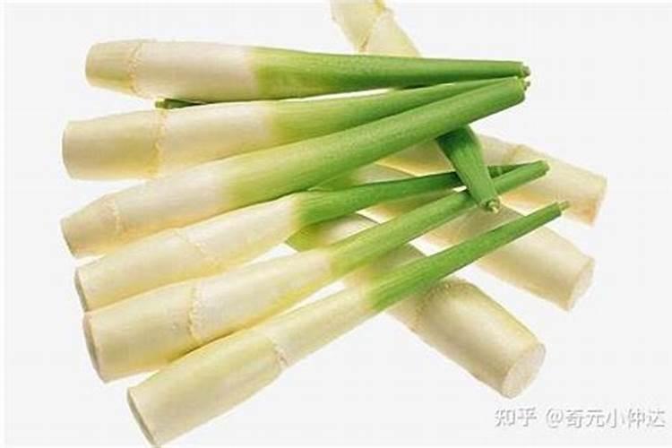 急需大枣叶面肥 求以下三药哪里可以买:特抗920 . 渗透王 .赤霉素乳...