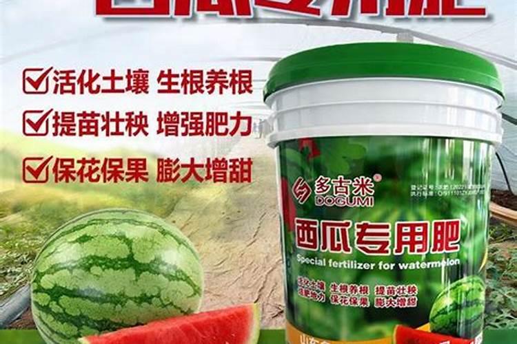 种植花生和大豆时,不需要施氮肥的原因是( )A.土壤中的氮肥足够多B.大...