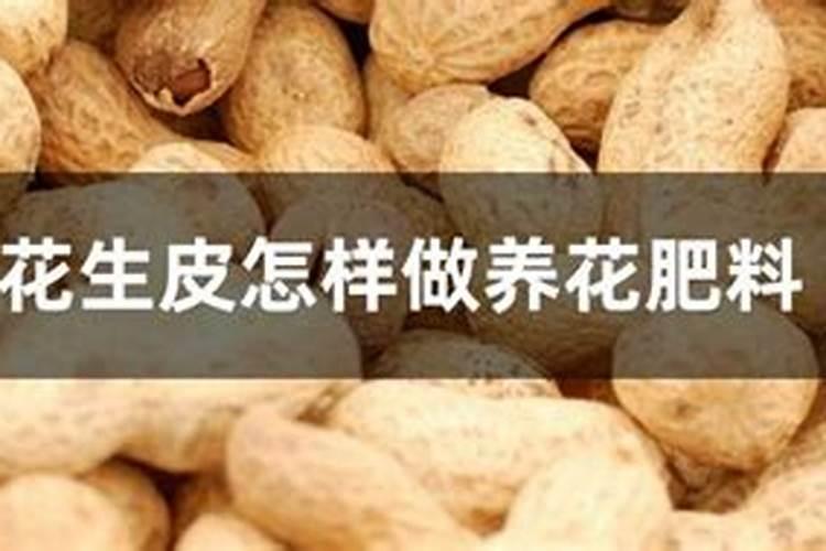 映山红如何施肥