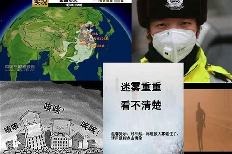 硼肥对玉米有什么作用