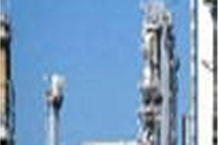 市场上有什么好的有机肥料卖？有机肥料价格多少钱一吨？