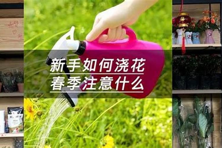 氮磷钾复合肥使用方法 怎样用氮磷钾复合肥浇花