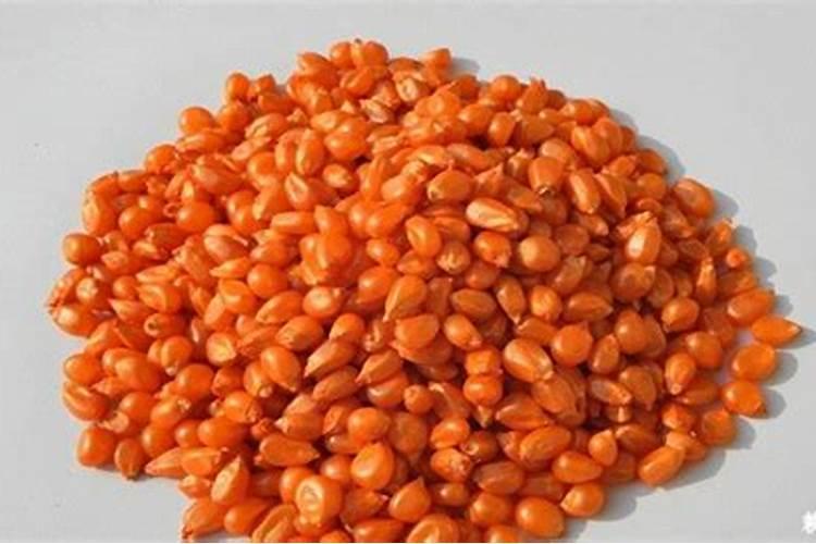 中量元素水溶肥的作用与功效 中量元素水溶肥什么时候用合适