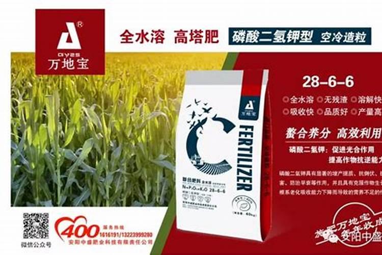 大量元素水溶肥,六个特点无可匹敌!