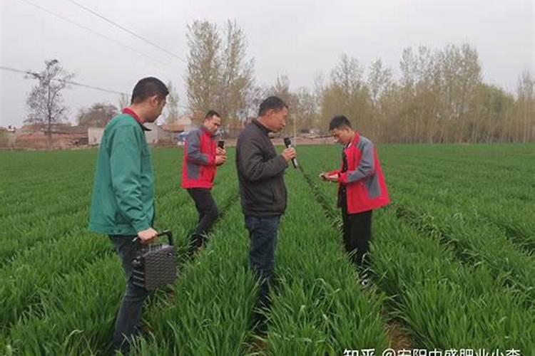 水稻钾肥的正确使用方法,什么时候施好