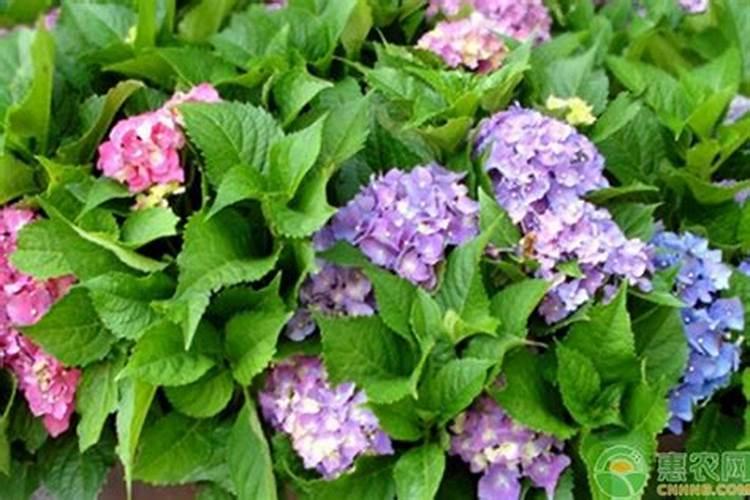 硫的化合物有哪些