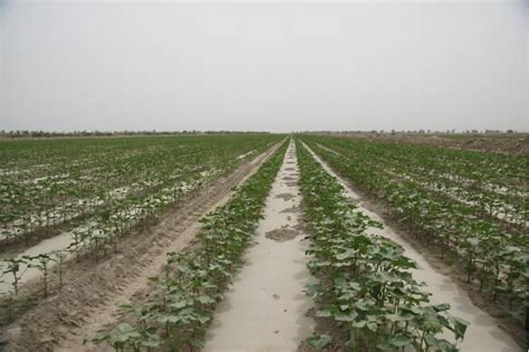 保水剂主要功能